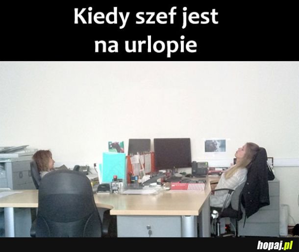 Urlop szefa