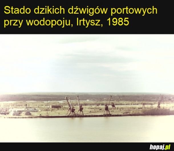 Czytała Krystyna