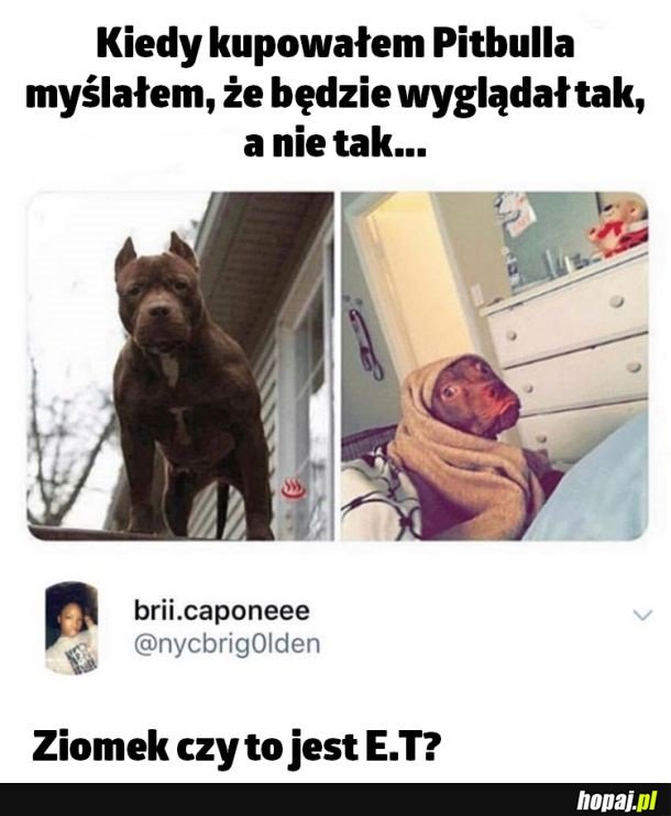 Coś poszło nie tak