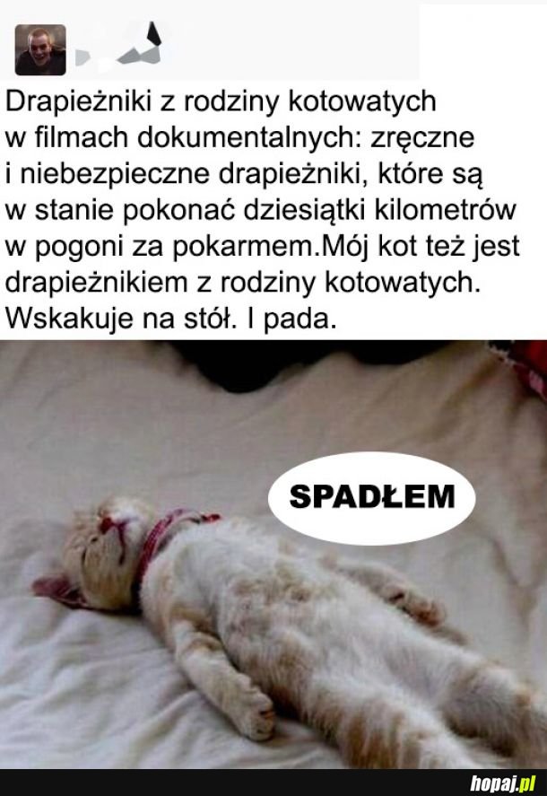  Drapieżniki 