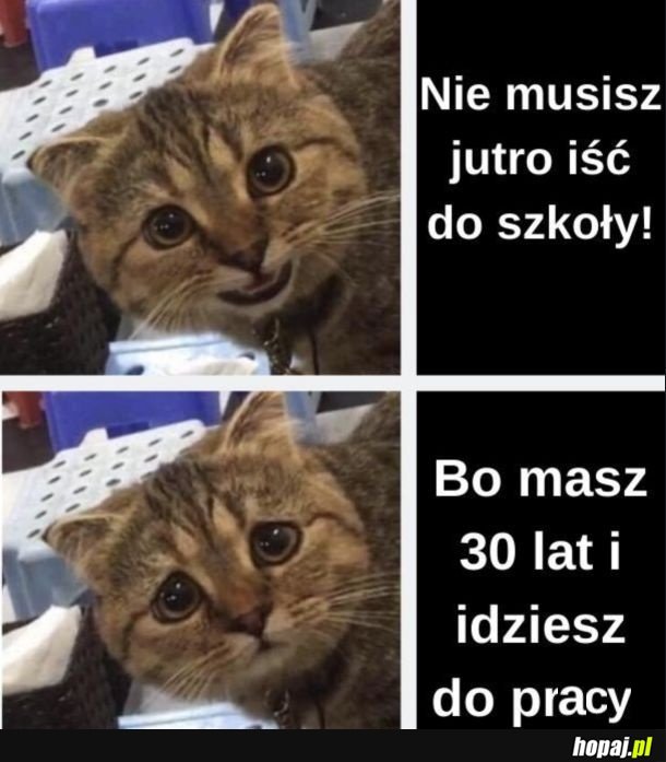Pracująca sobota