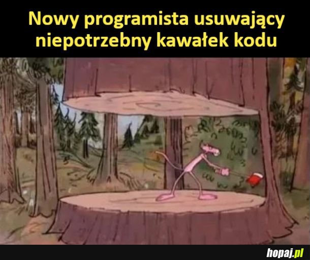 Programista