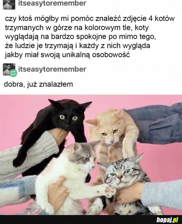 Dobra faza