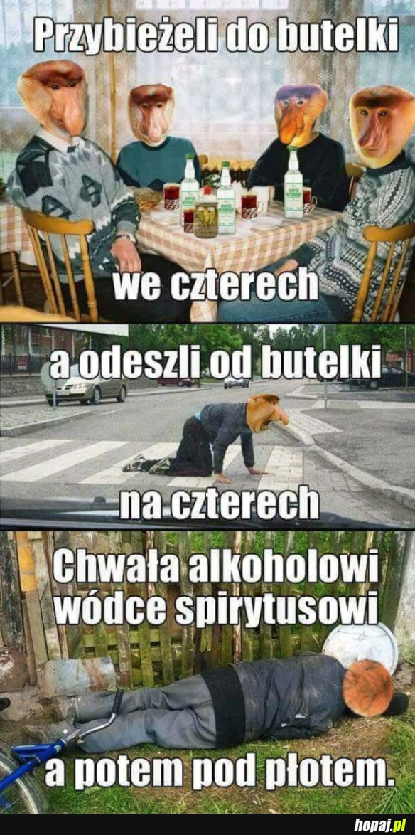 HEJ KOLĘDA!