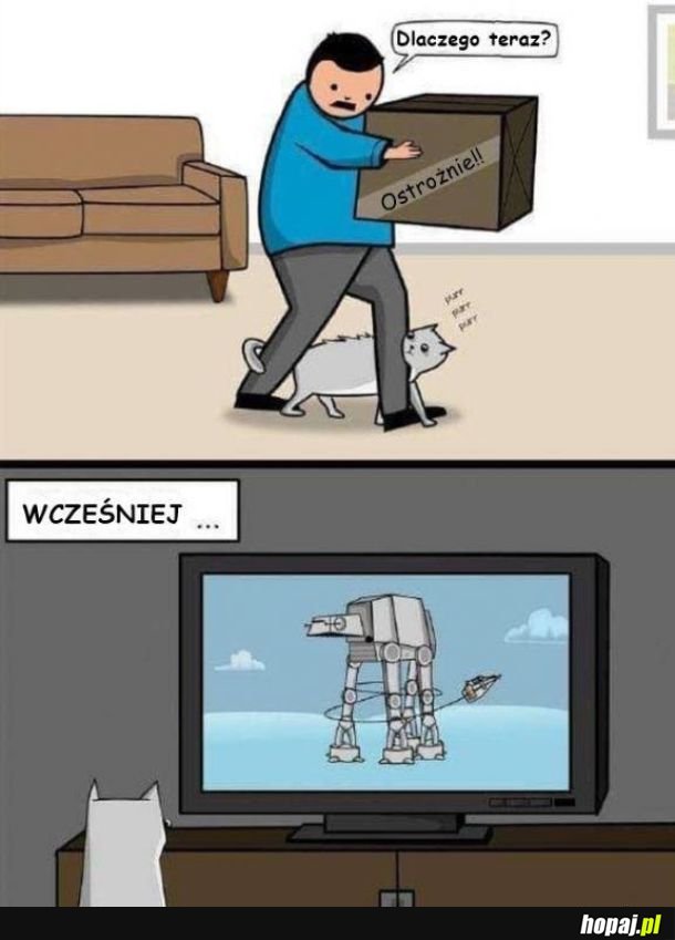 Właśnie teraz