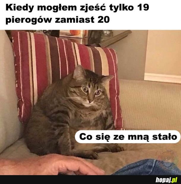  Co się ze mną stało?