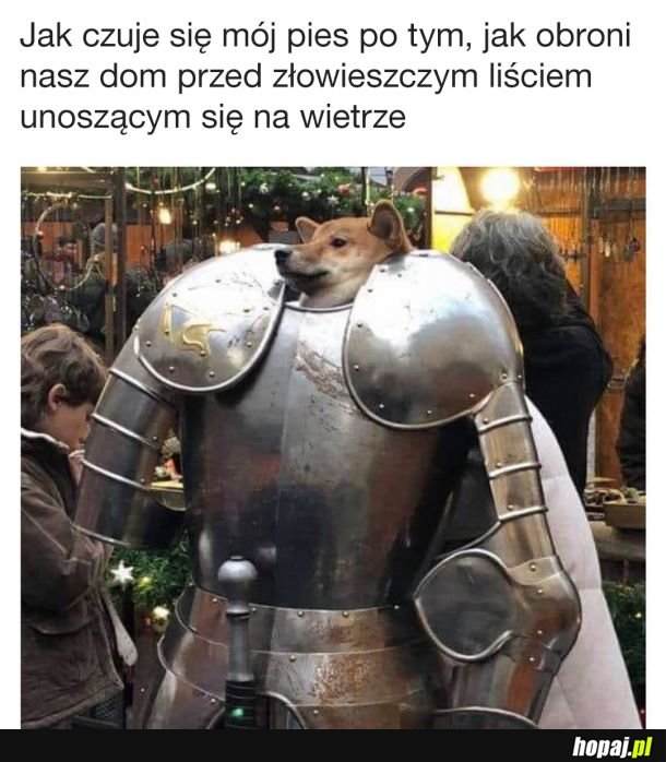  Jestem obrońcą 