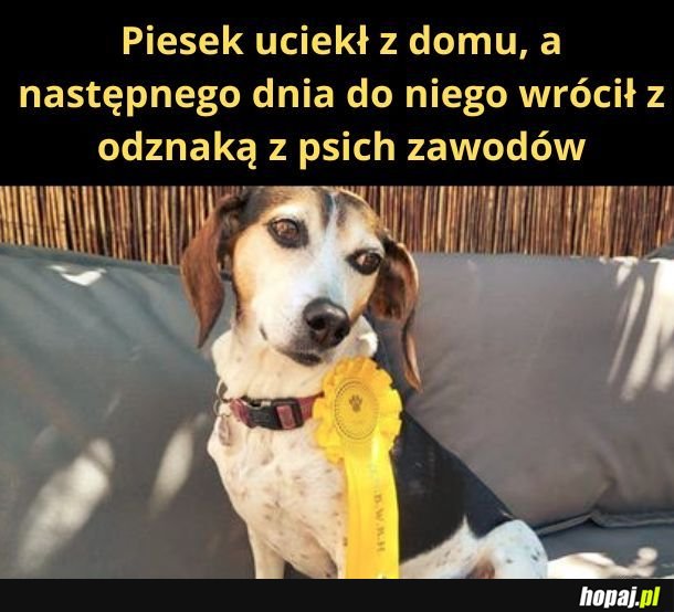 Co tam się stało?