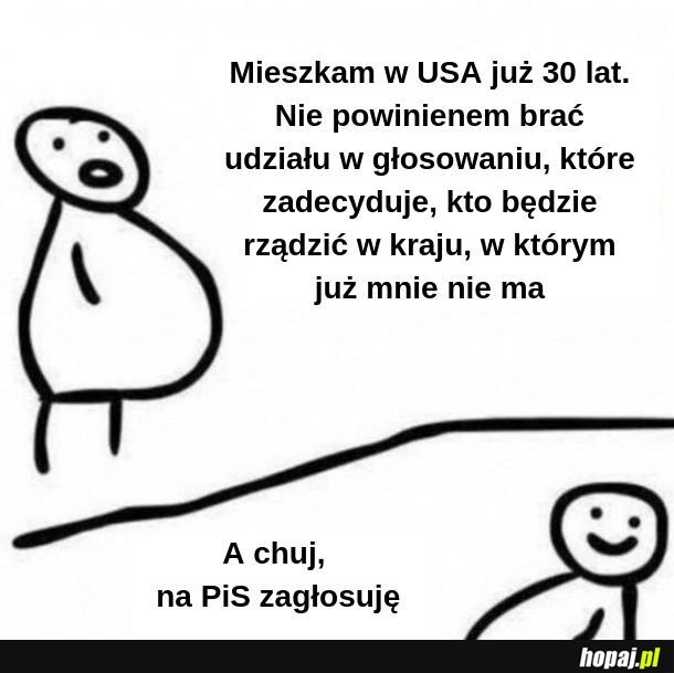  Polonia w USA 