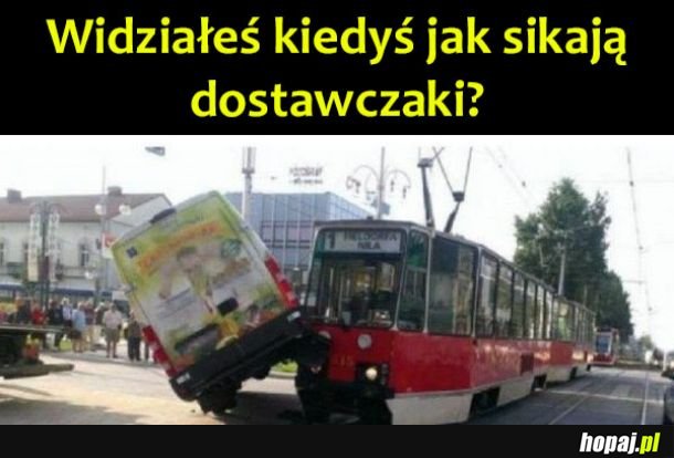 Rzadkie zdjęcie