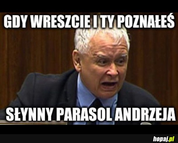 SZTUCZKA Z PARASOLEM