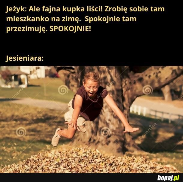 Zostawcie jeże w spokoju!