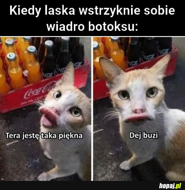 Taka piękna 