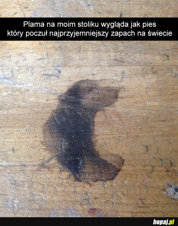 TEŻ TO WIDZICIE?