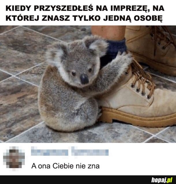 Tak to wygląda