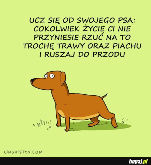 Ucz się człowieku