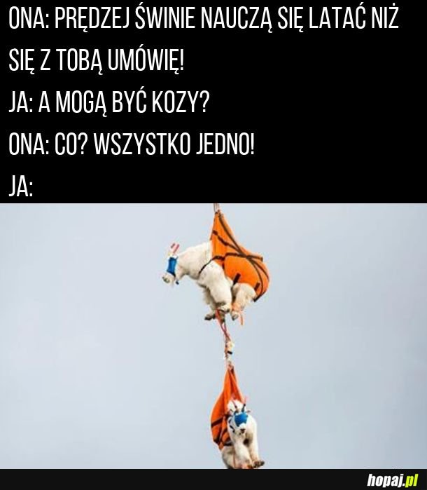 Latające kozy