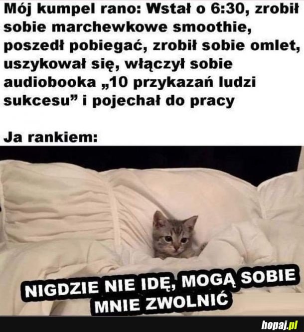 Jak żyć