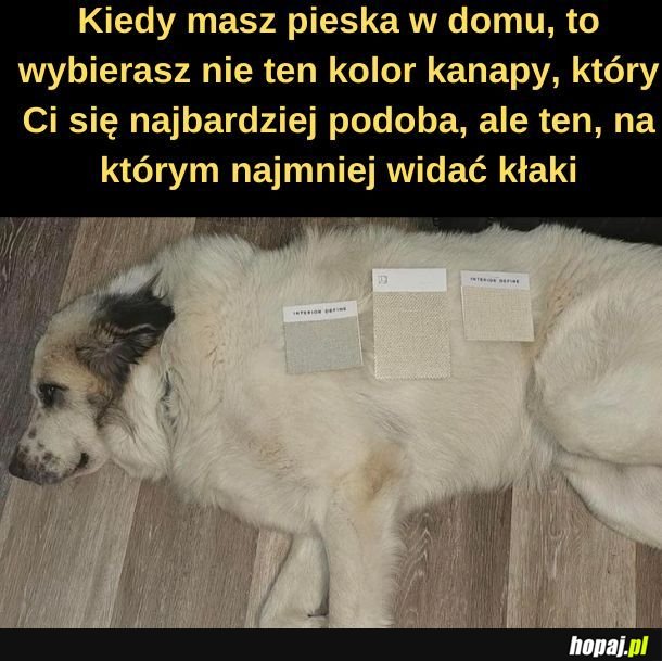 Kłaki.