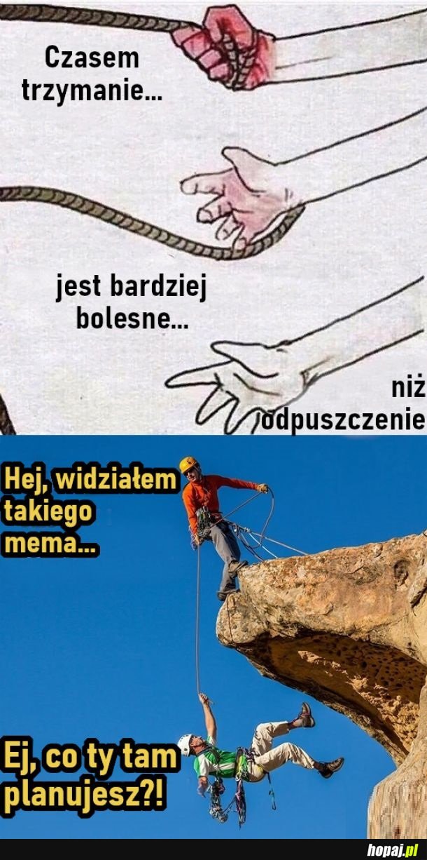 Hej, widziałem takiego mema...