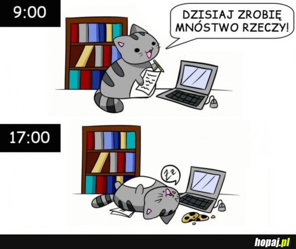 DZIEŃ JAK CODZIEŃ