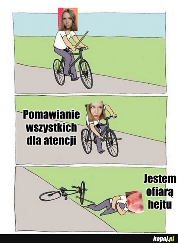 Cykl życia stasko