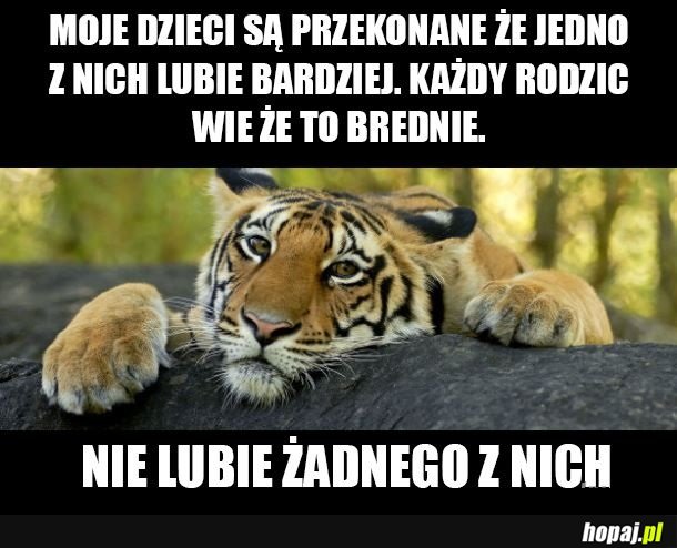 Moje dzieci