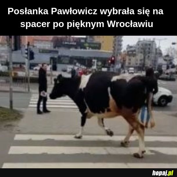 Posłanka na spacerze 