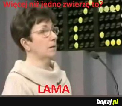Więcej niż jedno zwierze to...?