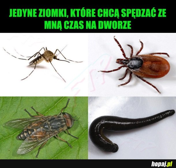 W OTOCZENIU PRZYRODY
