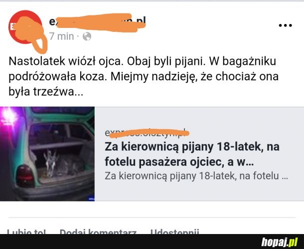 Miejmy nadzieję , że chociaż ona była trzeźwa...