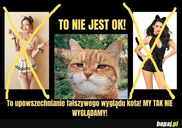 To nie jest ok!