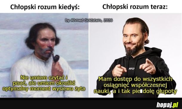 Chłopski rozum