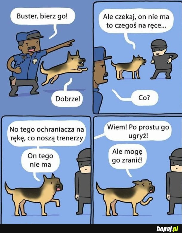 BUSTER NIE OGARNĄŁ