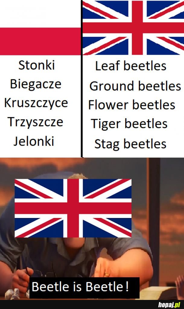 Beetles