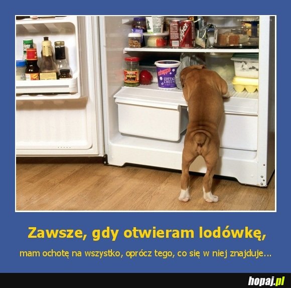 Zawsze, gdy otwieram lodówkę...