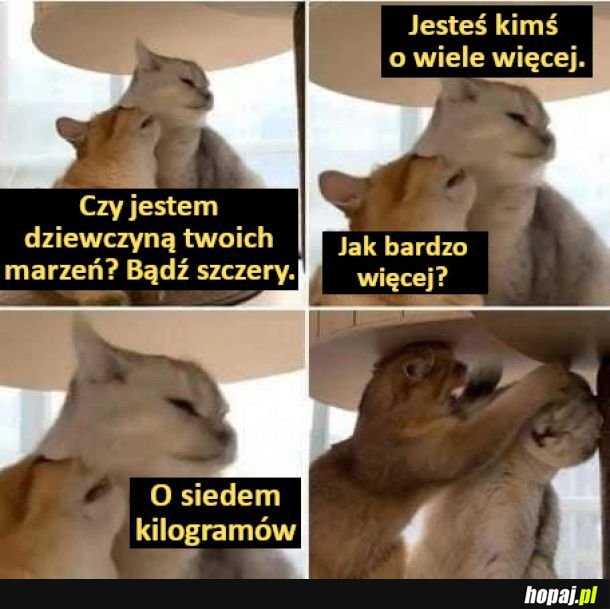 Nie za dobra odpowiedż xd