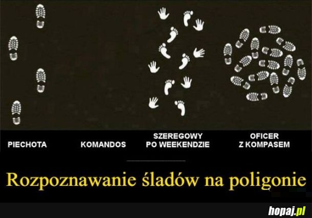 Ślady