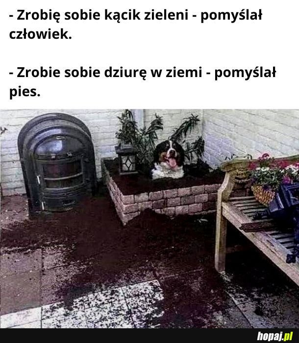 Dobrze pomyślał