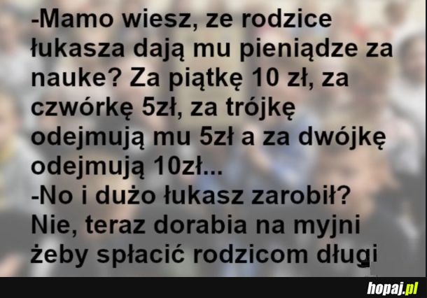 Świetny deal