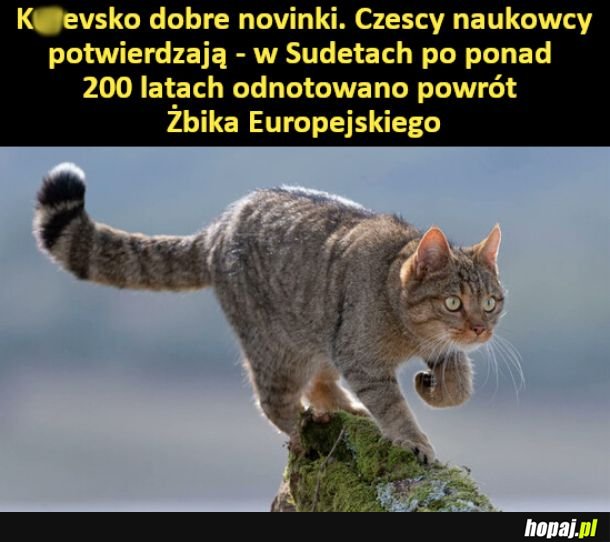 Dobre novinki