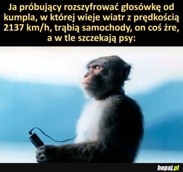 Głosówka