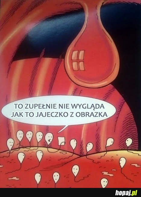 To zupełnie nie wygląda jak to jajeczko z obrazka