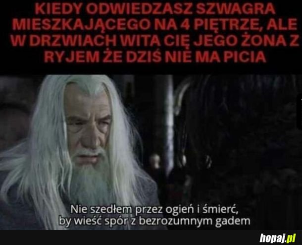 Odwiedziny