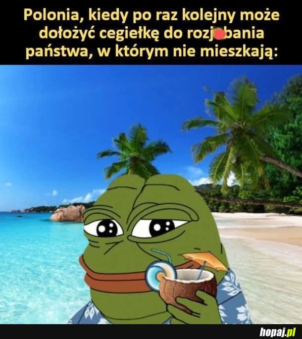 I tak co wybory