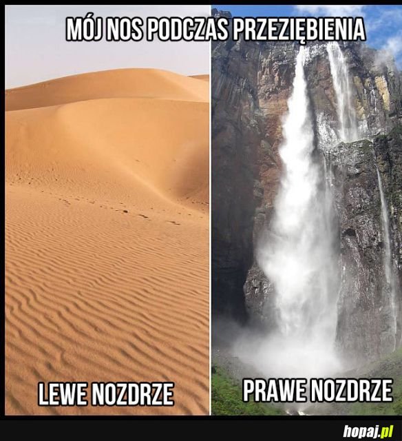 Za każdym razem