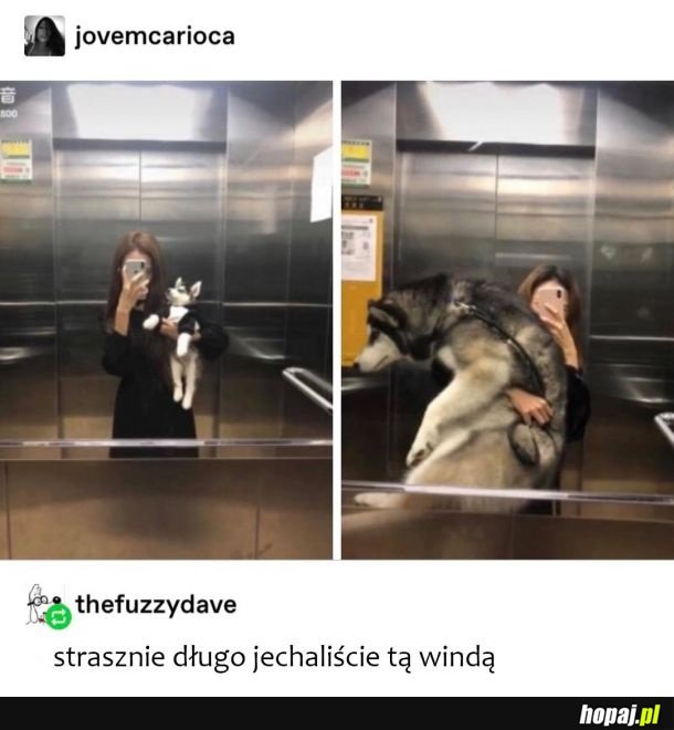 Długa jazda