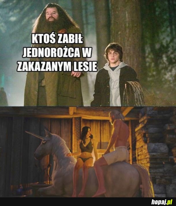  Jednorożec 