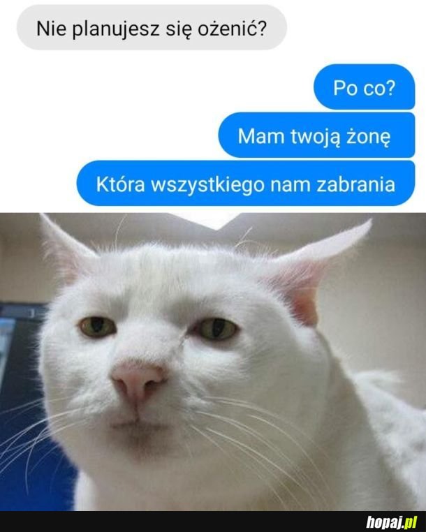 Żona