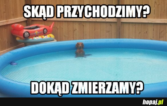 Pieseł zwątpił